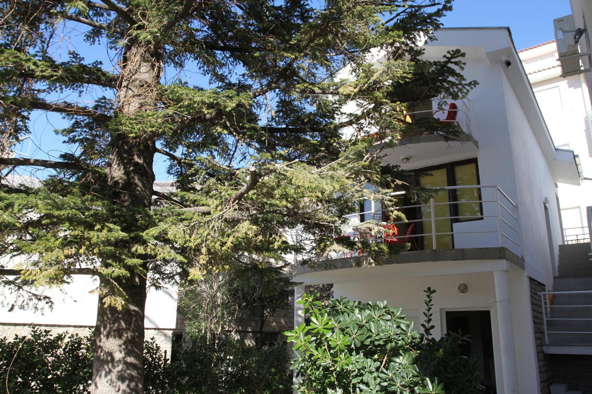 Apartments Popovic Petrovac Exterior photo